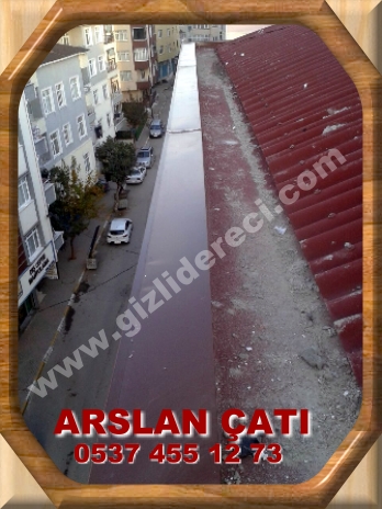Eksşiz Gizlidere Oluğu