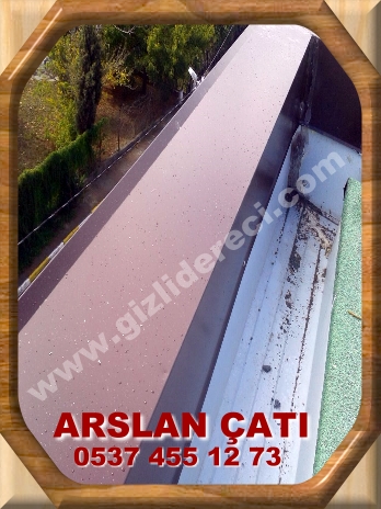 Eksiz Gizlidere Oluğu