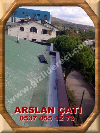Eksiz Gizlidere Oluğu